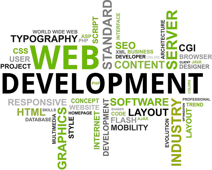 web development service in delhi